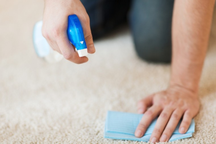 Carpet care guide