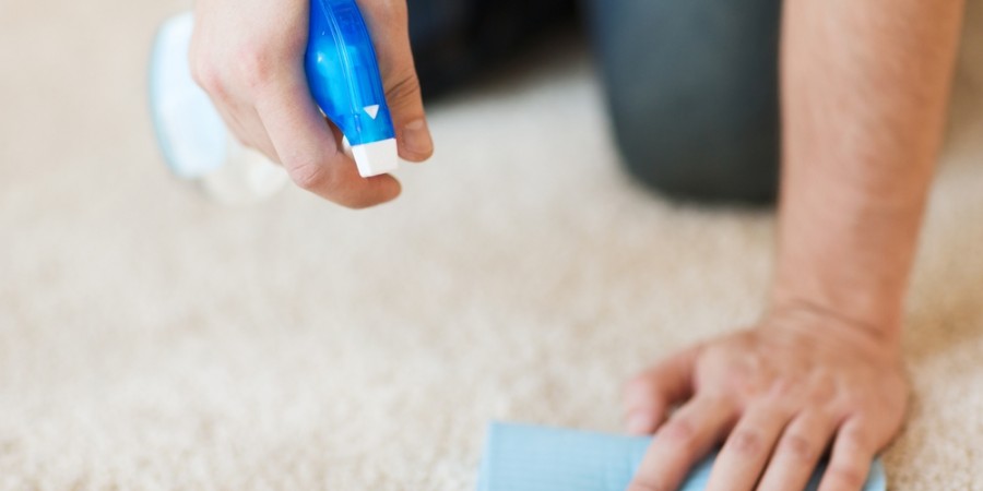 Carpet care guide